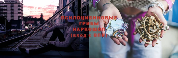 PSILOCYBIN Бугульма