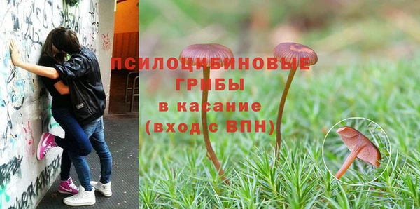 прущие крисы Богородск